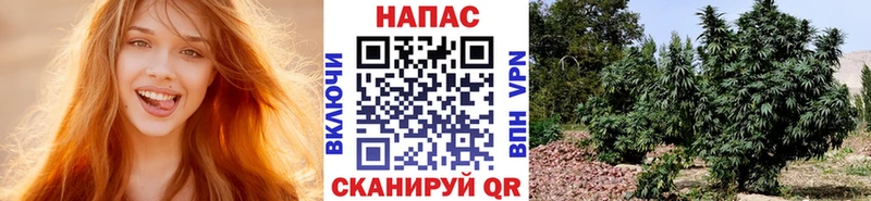 Как найти наркотики Ирбит Alpha PVP Cocaine Меф МАРИХУАНА Кодеин Гашиш