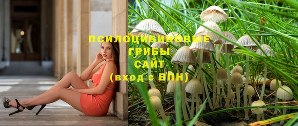 прущие крисы Абинск