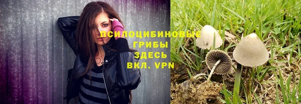 прущие крисы Абинск